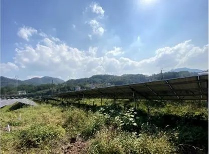 Il sistema di monitoraggio a livello di modulo PV aiuta le centrali fotovoltaiche a migliorare l'eff