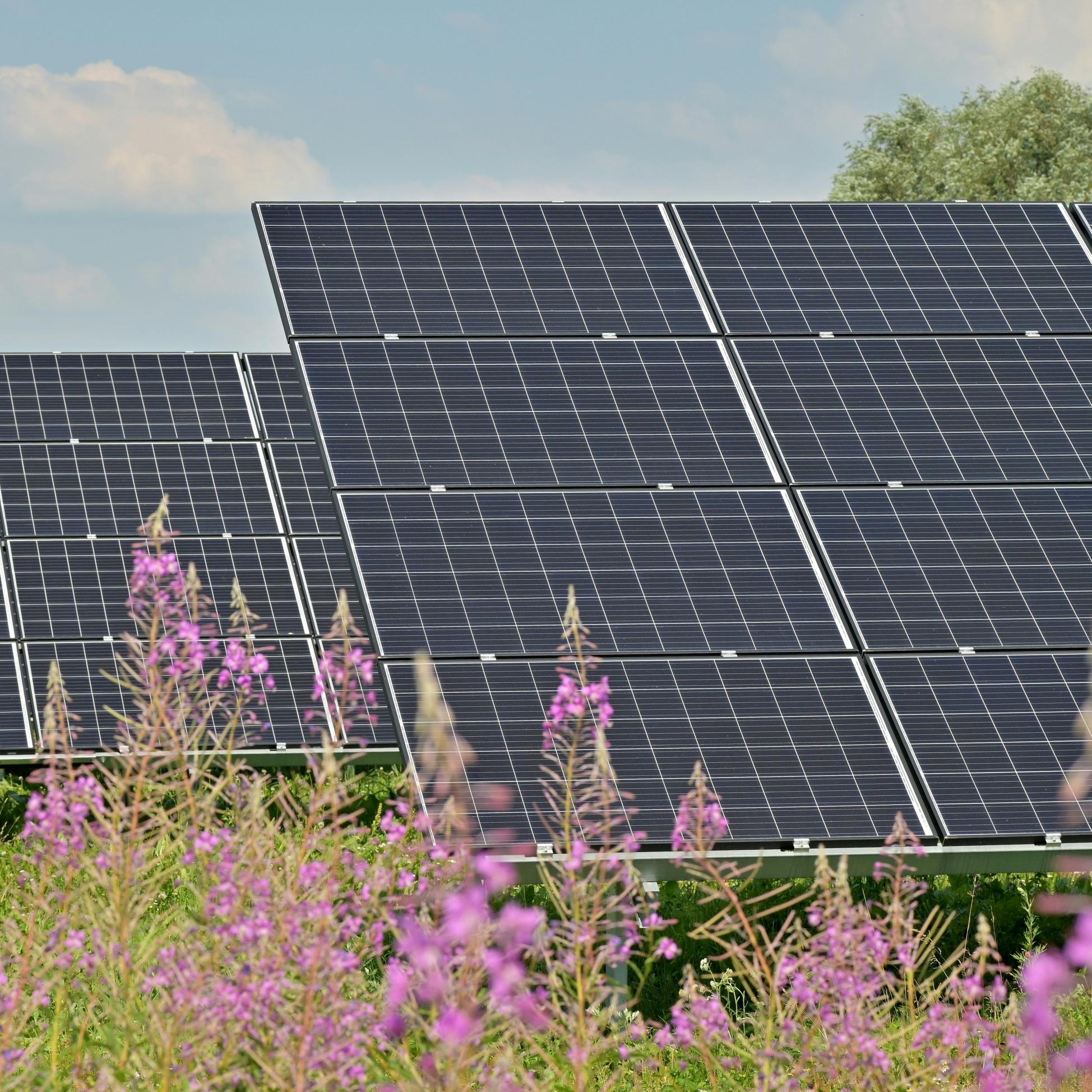 Perché l'RSD a livello di modulo è fondamentale per gli impianti solari thailandesi 