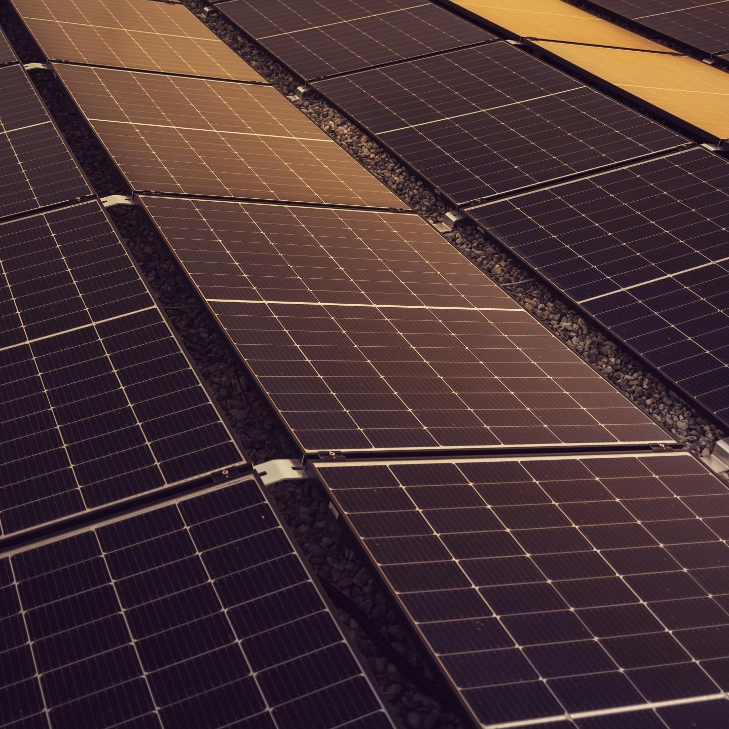 Dispositivo di spegnimento rapido vs interruttore di sicurezza tradizionale che è meglio